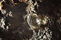 Diamant dins una ganga de kimberlita (Sud-Africa)
