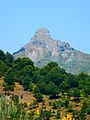 La Rocca osservata dal torrente Patrì