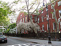 Gedung Pertemuan Sahabat, New York City, Amerika Serikat