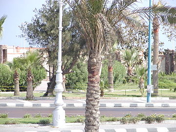 Jardin devant la Bibliotheca Alexandrina, où devrait être érigée la porte du phare d'Alexandrie sortie des eaux