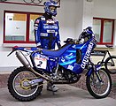 ゴロワーズカラーのKTM 660ラリー（2005年）