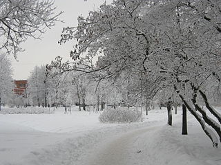 Kolpino in winter
