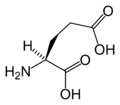 L-Glutamiinihappo (Glu / E)