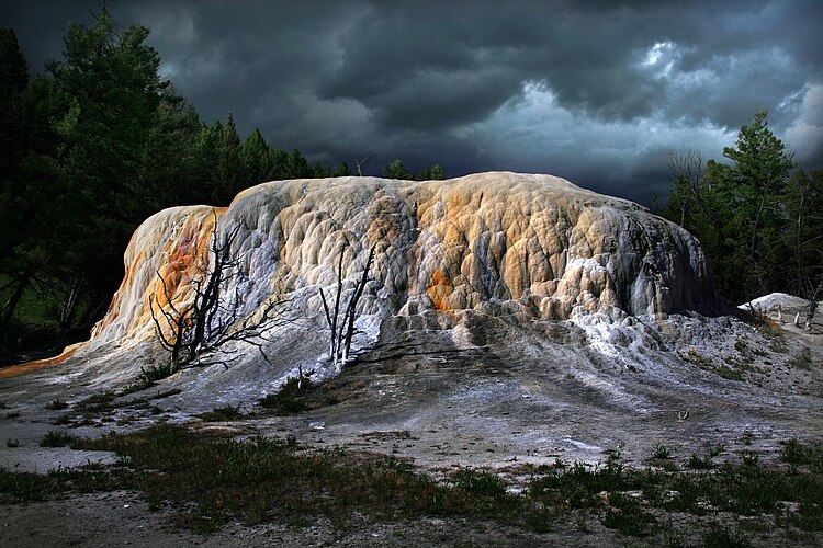 Мёртвые деревья у подножия Orange Spring Mound (Йеллоустоунский национальный парк)