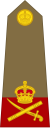 Lieutenant-General