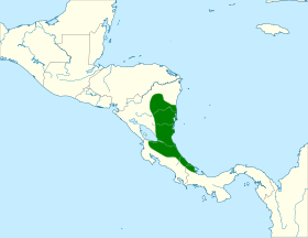 Distribución geográfica del semillero nicaragüense.