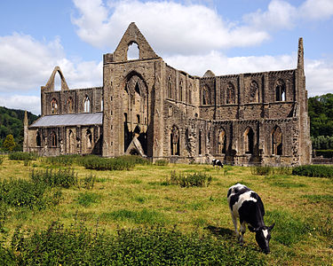 Tintern Abbey