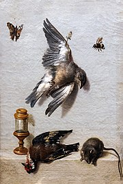 Nature morte avec deux oiseaux morts, une souris et trois insectes 1712 - Musée des Beaux-Arts d'Agen.