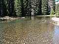 American River (Washington)