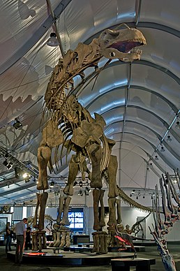 Реконструкція скелету Argentinosaurus huinculensis