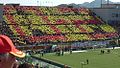 Coreografia realizzata dalla Curva Sud in occasione della partita Messina-Bologna del 2005.