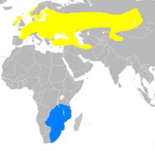 Map shawin the breedin regions o Crex crex (maist o Europe an Sooth-Siberian Roushie up tae Mongolie), an thair Winter migration region (Sooth-Wast Africae).