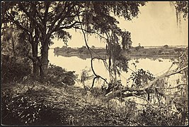 Georgia, Savannah River, near Savannah - NARA - 533420.jpg