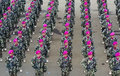 The Indonesian Marine Corps beret colour is magenta purple.