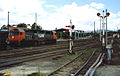 V/Line locomotive N474 at Seymour, 1989