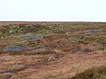 Area of tin streaming works, southern Dartmoor