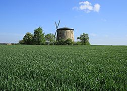 Windmühle Tettau in Sachsen 2H1A1270WI.jpg