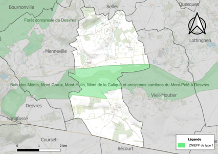 Carte de la ZNIEFF de type 1 sur la commune.