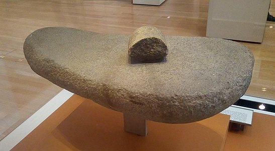 Una pedra gran i una de més petita emprades per moldre grans de cereals, trobades a Abu Hureyra, c. 9500-9000 aC. Museu Britànic