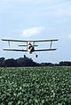 Bir soya tarlasında çift kanatlı uçak ile böcek ilaçlaması