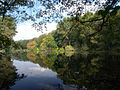 Oberer Teich mit Blick nach Nordosten, in Richtung Bogensee.