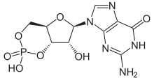 cGMP structure.