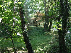 Castle mound, Lowdham - geograph.org.uk - 1011882.jpg