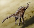 Diplodocus dược dự đoán có chiều dài hơn 30 m, là một loại sauropoda phổ biến ở Jura muộn.