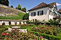 Rosengärten in Rapperswil, Switzerland