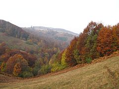 Mountain Jablanik in autumn