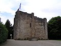Castell de Donjon de Montignac