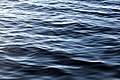 Light breeze ripples in the surface water of a lake