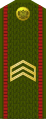 Сяржант Siaržant (Belarusian Ground Forces)[30]