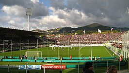 Stadio Artemio Franchi