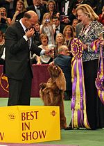 Thumbnail for List of Best in Show winners of the Westminster Kennel Club Dog Show