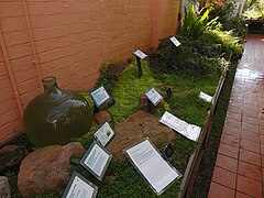 The Evolution of Living Cells, Birmingham Botanical Gardens - geograph.org.uk - 6066300.jpg