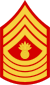 Three chevrons up and four rockers with exploding grenade