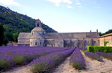 Abbey de Senanque.JPG