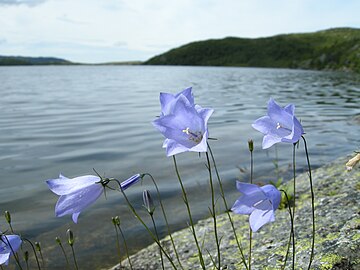 In southern Norway