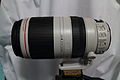 Canon EF 100-400 mm f/4,5-5,6 L IS II USM