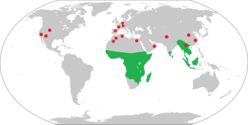 Extant strepsirrhine range with fossil sites.png