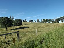 Farm at Teviotville.jpg