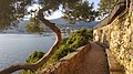 Saint-Jean-Cap-Ferrat