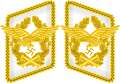 Generalfeldmarschall