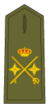 General de Divisió