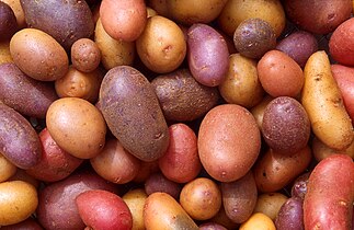 Varities of potatoes