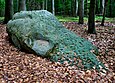 Schalenstein im Staatsforst Schieder