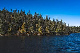 Svartdalstjerna Lakes Primeval Forest Nature Reserve of the Totenaasen Hills in Norway 01.jpg