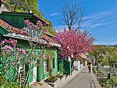 Telthusbakken Gamle Aker St Hanshaugen Oslo Norway (2022.05.05).jpg