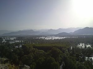 View from the castle to the Skadar lake